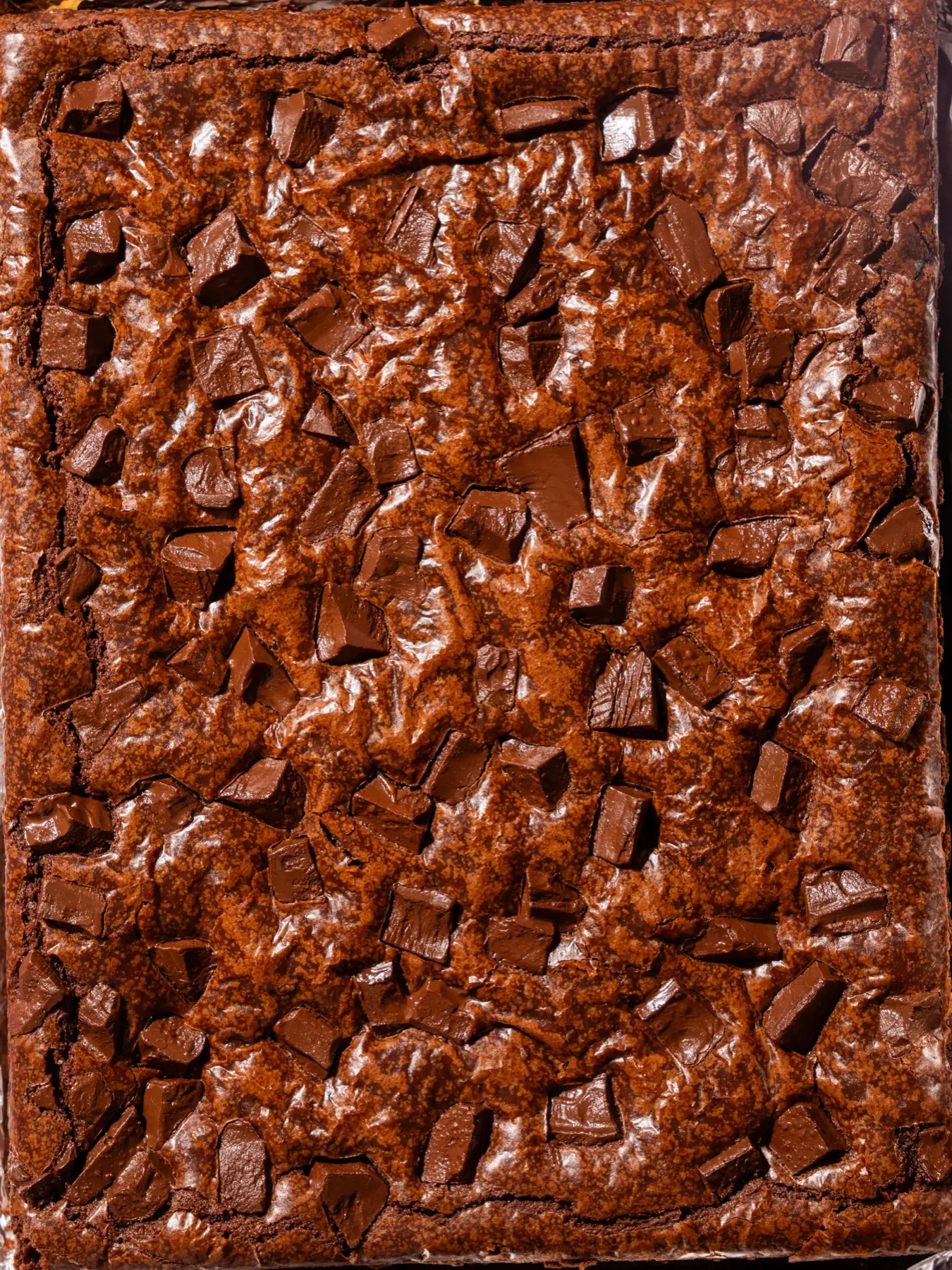 Brownie close-up